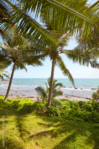 Tropical landscape with palm trees and the sea.