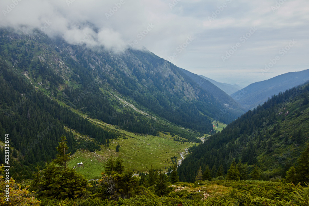 Majestic landscape of summer mountains. View of rocky peaks and coniferous forest hills in fog. Fagaras Mountains.Transylvania. Romania. Wild nature relaxing background.