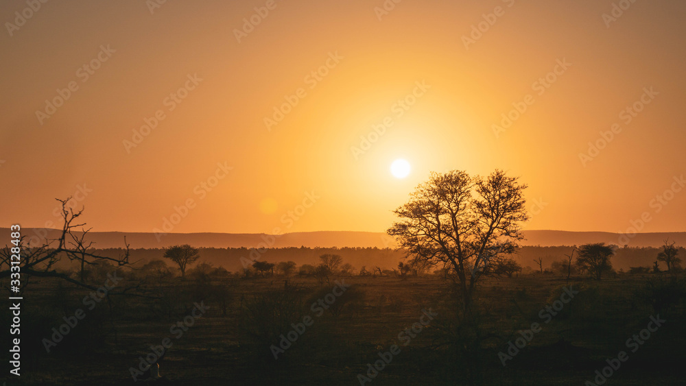 Sunrise in kruger national park south africa