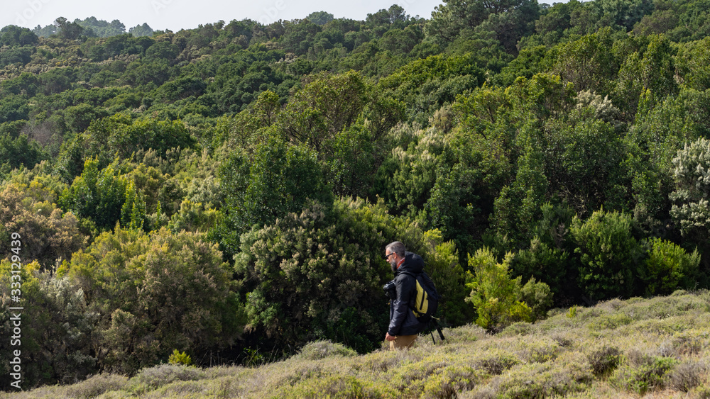 Photographer hiking in a Laurisilva forest. El Hierro is an ideal place to take photographs.