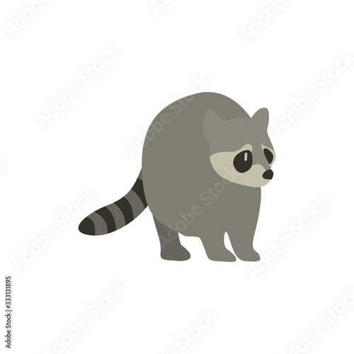 Cartoon raccoon. Cute Cartoon raccoon  Vector illustration on a white background. Drawing for children.