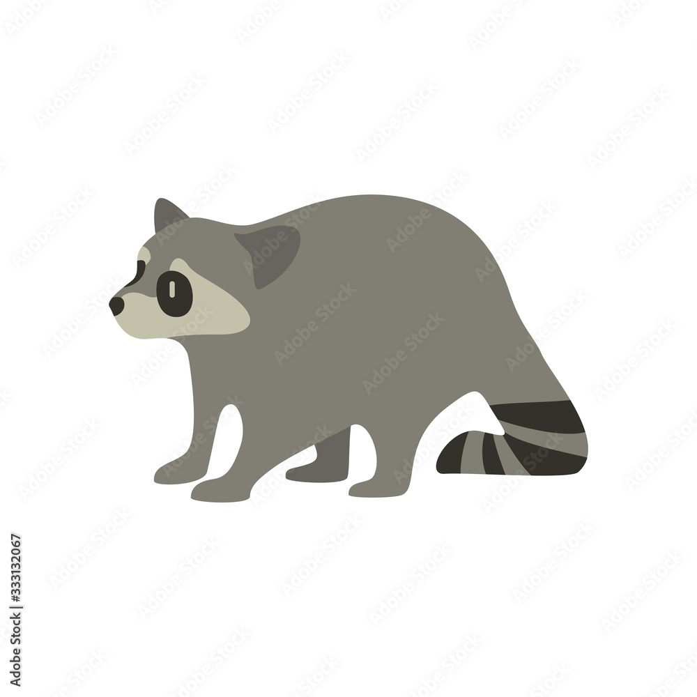 Fototapeta premium Cartoon raccoon. Cute Cartoon raccoon, Vector illustration on a white background. Drawing for children.