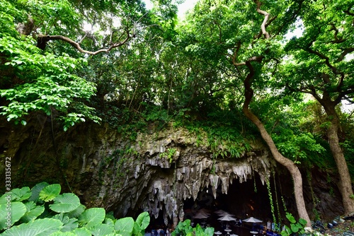 沖縄のガンガラーの谷