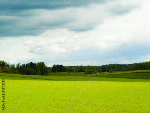 Nature landscape of green field in Kashubian village. Nature and agriculture concept