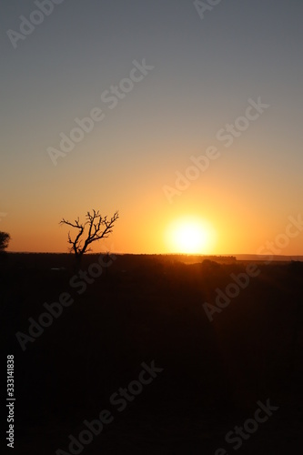 Beautiful sunrise in Kruger national park South Africa