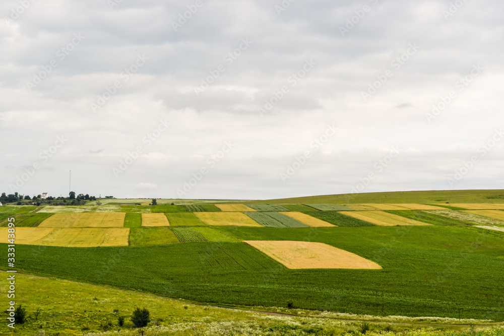 Fototapeta premium landscape with green farm field and blue sky