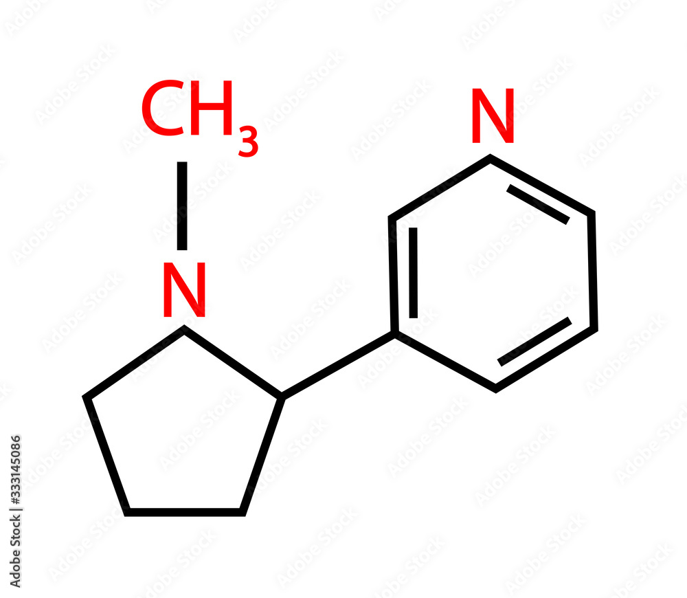 Chemical formula of nicotine. Sketch. Vector illustration. Chemical formula of nicotine. Sketch. Vector illustration.