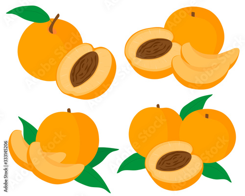Set of fruit peaches vector illustration slices and slices