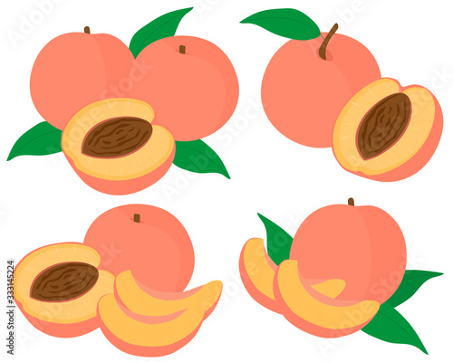 Set of fruit peaches vector illustration slices and slices