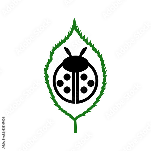 Ladybug on leaf icon isolated on white background