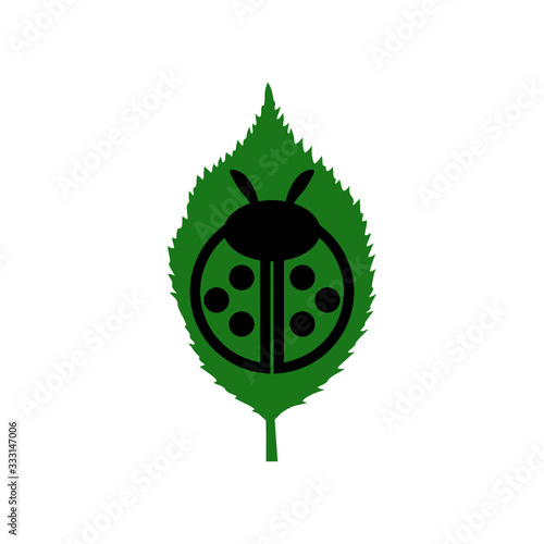Ladybug on leaf icon isolated on white background