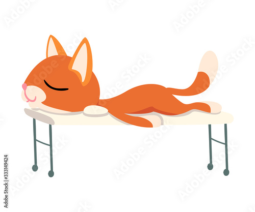 Cute Funny Red Cat Relaxing on Massage Table Vector illustration