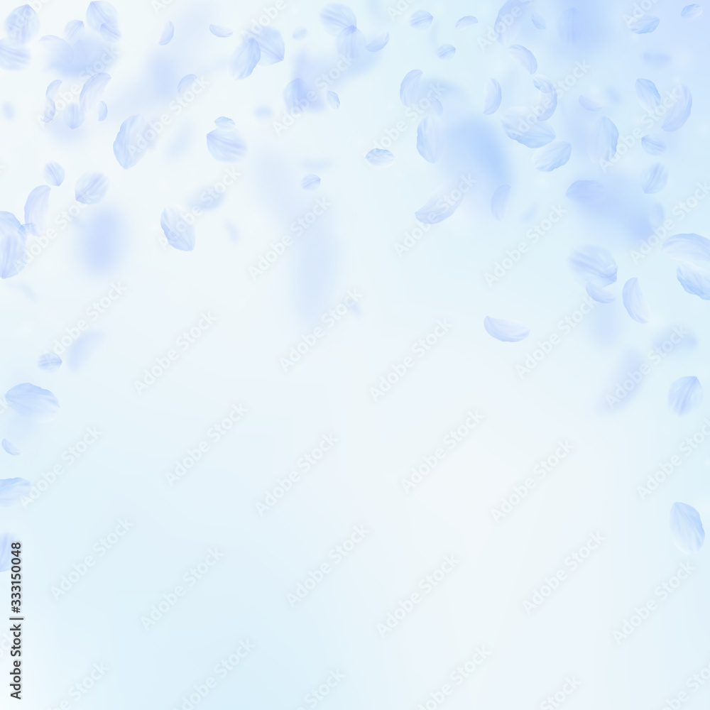 Light blue flower petals falling down. Admirable r Light blue flower petals falling down. Admirable r