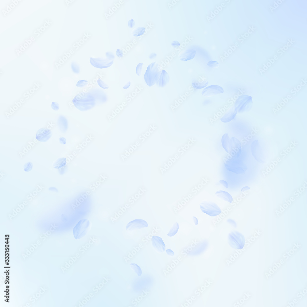Light blue flower petals falling down. Gorgeous ro Light blue flower petals falling down. Gorgeous ro