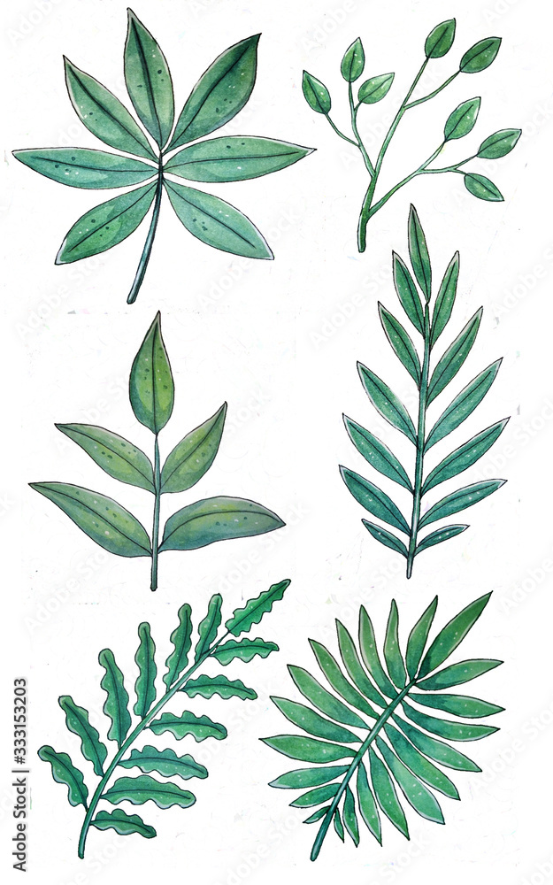 set of green leaves set of green leaves