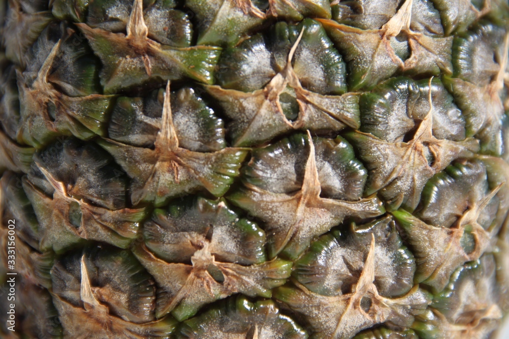 Pineapple whole fruit and leaves texture Pineapple whole fruit and leaves texture