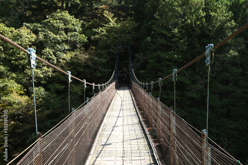 Okutama Mukashi Michi Hike - Japan