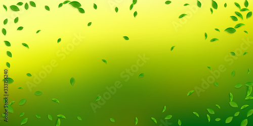 Falling green leaves. Fresh tea chaotic leaves fly