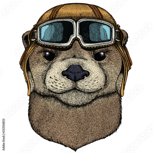 Portrait of otter. Cute animal head. Vintage aviator helmet with googles. photo