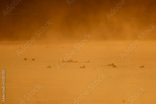 sunrise over lake