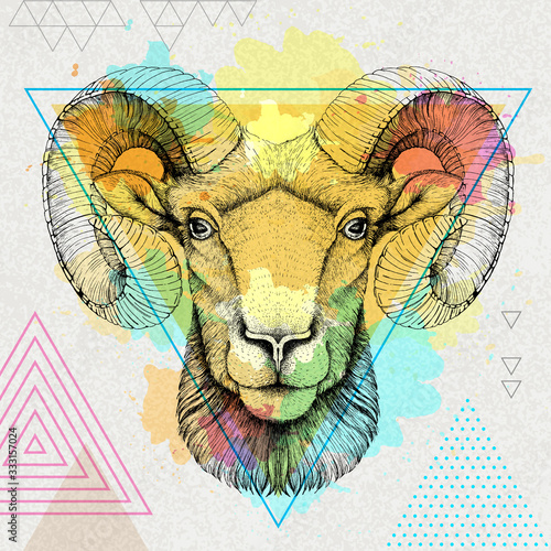Hipster realistic animal ram or mouflon on artistic polygon watercolor background
