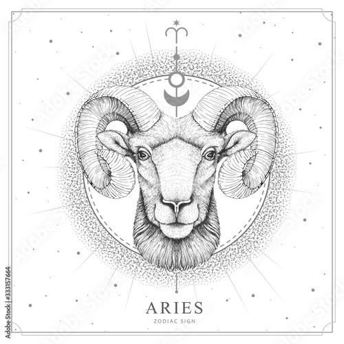 Modern magic witchcraft card with astrology Aries zodiac sign. Realistic hand drawing ram or mouflon head