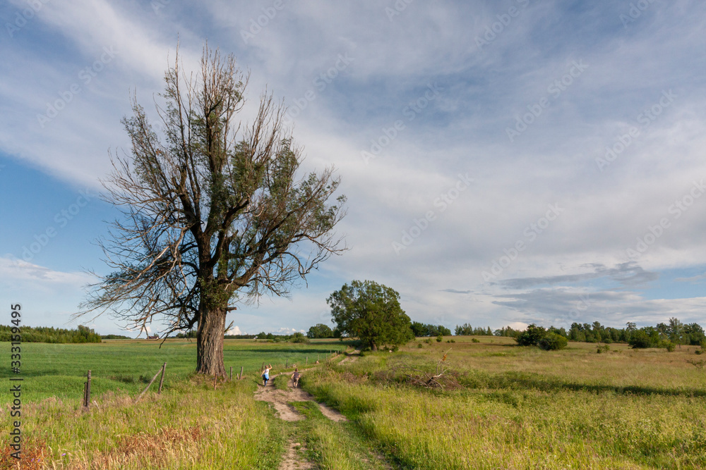 A mid-field countryside road leading towards a village