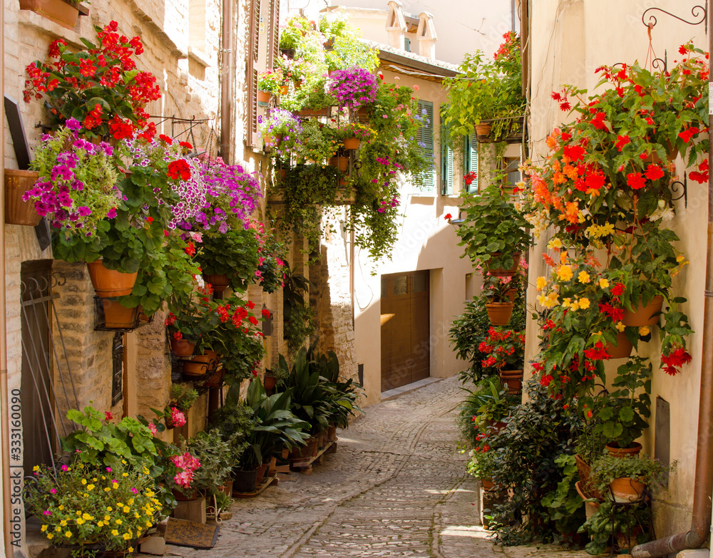 Obraz Medieval street of Spello decorated with flowers, Umbria, Italy