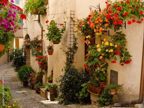 Medieval street of Spello decorated with flowers, Italy © katspi