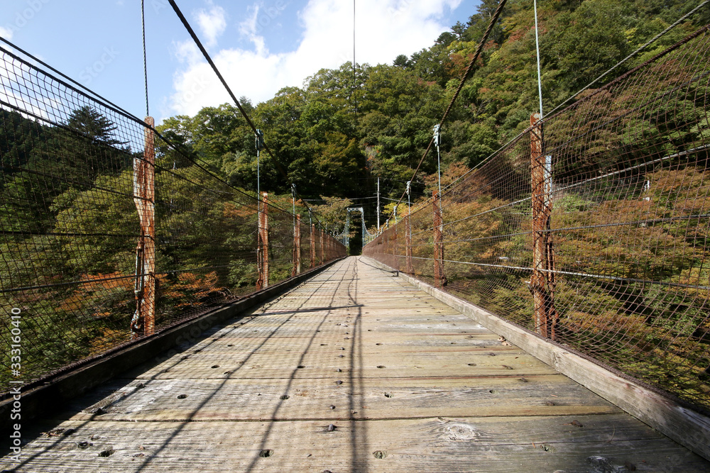 Fototapeta premium Okutama Mukashi Michi Hike - Japan