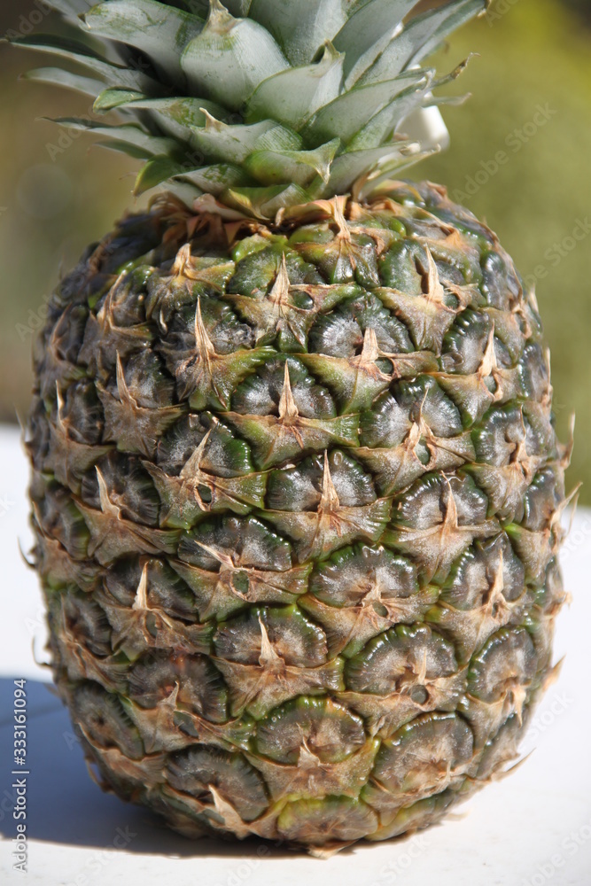 Pineapple whole fruit and leaves texture Pineapple whole fruit and leaves texture