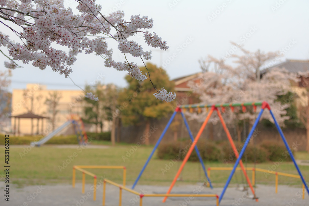 公園　桜
