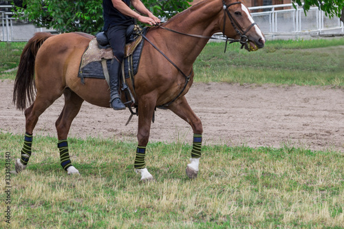 Rider in saddle, horses walk on training field.