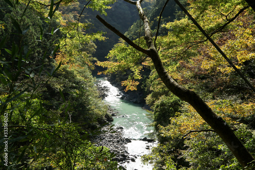 Okutama Mukashi Michi Hike - Japan photo