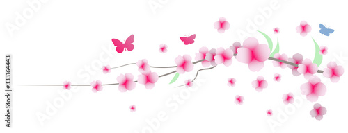 primavera, fiori, sakura, ciliegi,