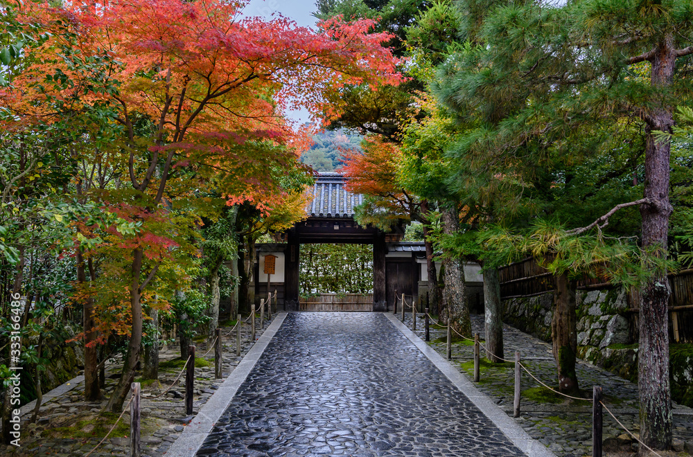 Stone road to shrine during fall foliage in Kyoto, Japan. Stone road to shrine during fall foliage in Kyoto, Japan.