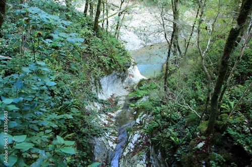 Of The North Caucasus