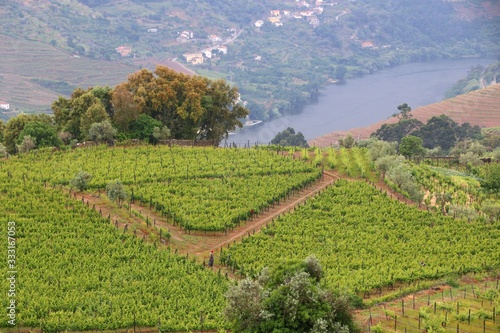 Portugal Douro River valley
