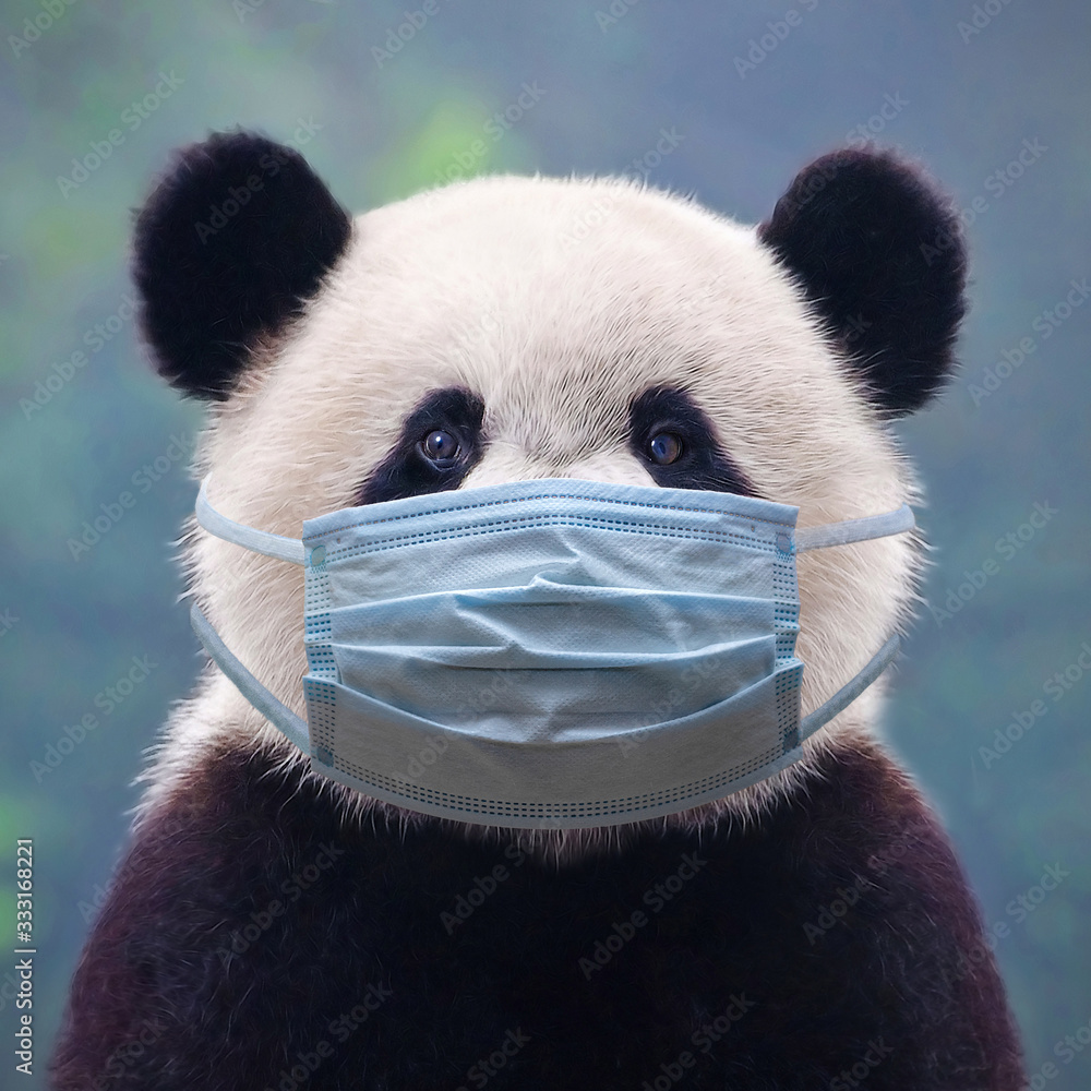 Giant panda bear wearing a face mask Stock Photo | Adobe Stock