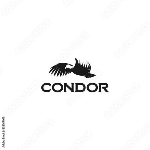 The condor wildlife bird animal