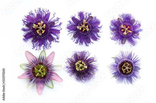 Beautiful compilation of six different passiflora - Passion Flowers isolated on a White sheet photo