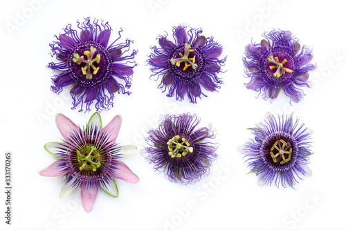 Photos Beautiful compilation of six different passiflora - Passion Flowers isolated on