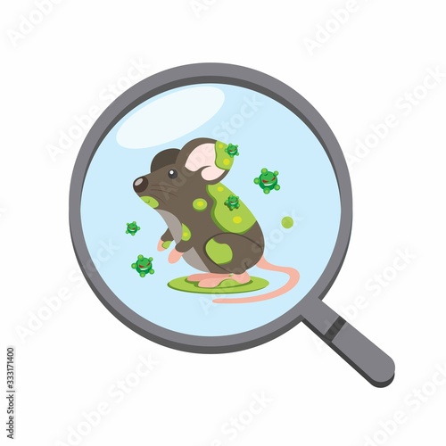 magnifying glass detected bacteria virus in rat, disease infection on animal in cartoon flat illustration vector isolated in white background