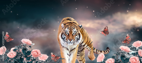 Bilde på lerret Fantasy tiger walking on fabulous magical night sky background with shining star
