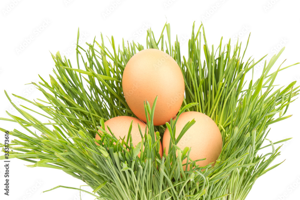 Brown eggs on green grass, isolated on white background. Brown eggs on green grass, isolated on white background.
