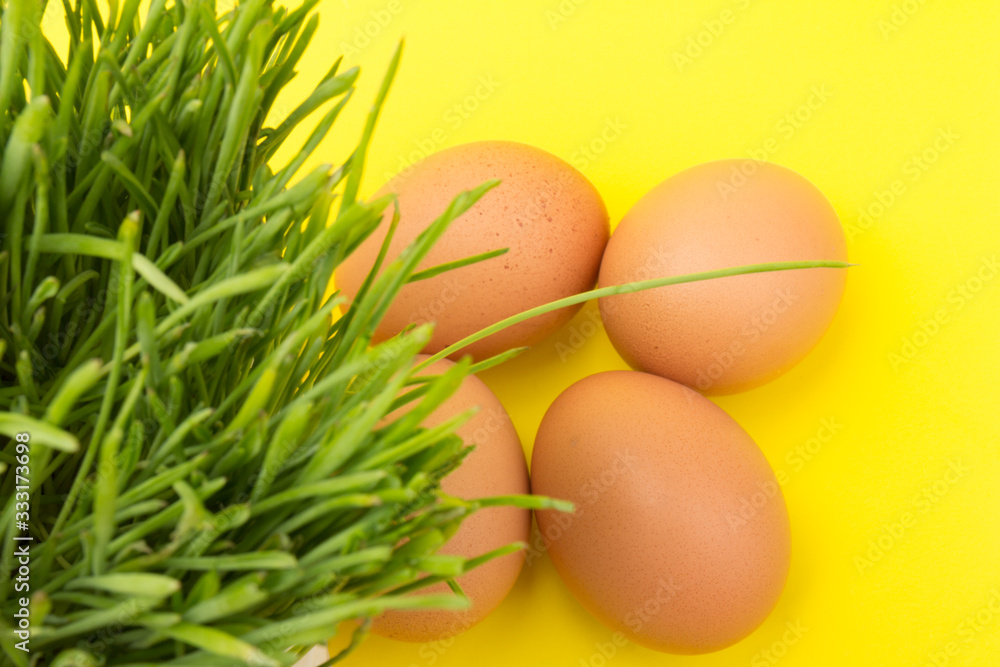 Brown eggs on green grass, isolated on yellow background Brown eggs on green grass, isolated on yellow background