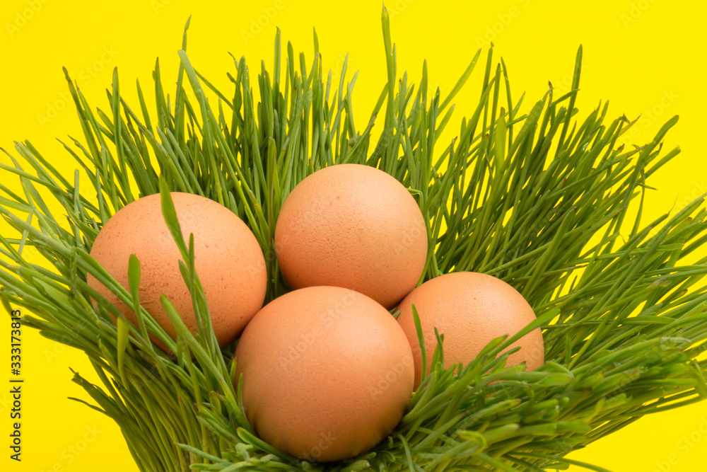 Brown eggs on green grass, isolated on yellow background Brown eggs on green grass, isolated on yellow background