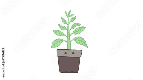 Tree growing 