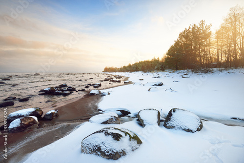 A view of the snow-covered Baltic sea coast at sunset. Stones in the water close-up. Coniferous forest in the background. Stunning cloudscape. Warm evening light. Kaltene, Latvia photo