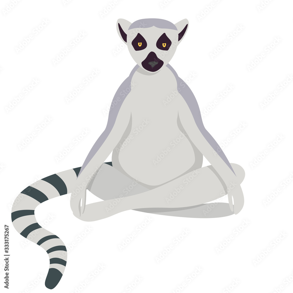 Fototapeta premium Lemur doing yoga. Cute animal in cartoon style isolated on white background.